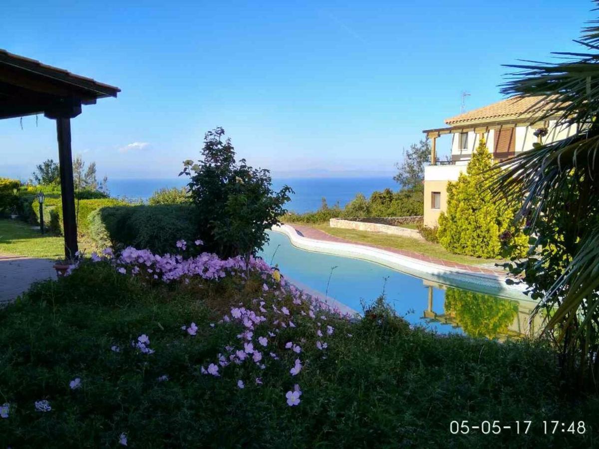 Porto Thea Alexandra Shared Pool Villa, 阿菲托斯 外观 照片