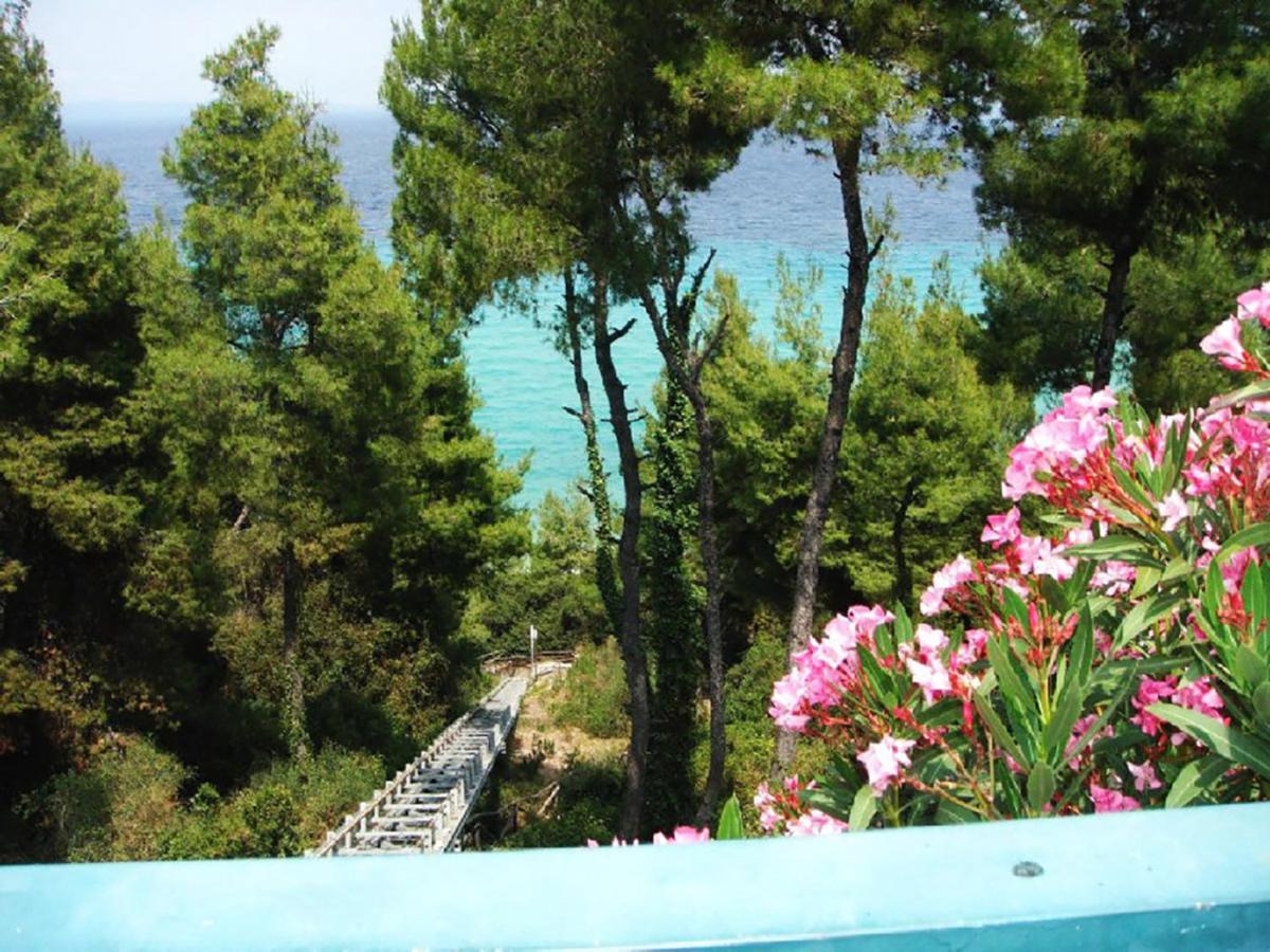 Porto Thea Alexandra Shared Pool Villa, 阿菲托斯 外观 照片